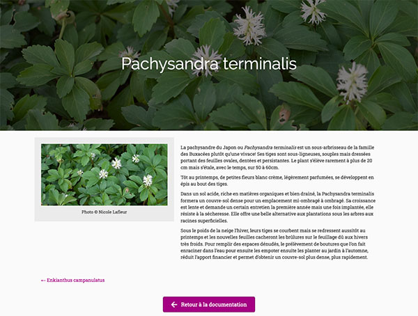 La Société des rhododendrons du Québec - Base de donnée Rhodothèque par Two Humans