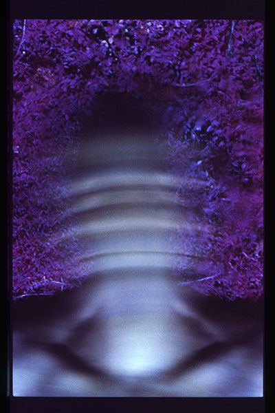Phorographie infrarouge par Claude Dagenais